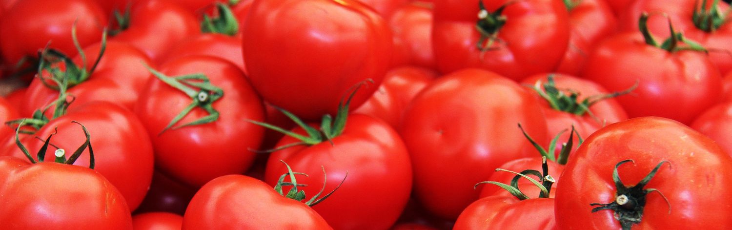 Tomatoes